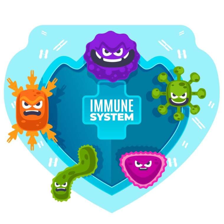 How Does Higher Immunity and Nutrition Ensure Good Health