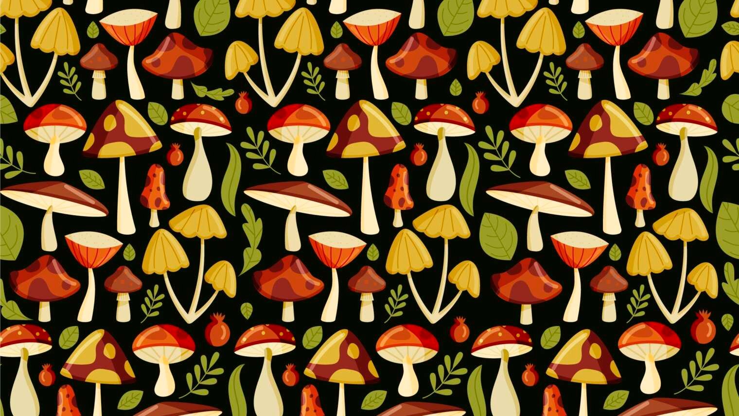 Enhancing Immunity Naturally: The Impact of Mushroom Complex Supplements