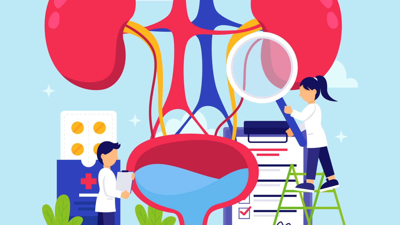 The Role of Supplements in Renal Function Maintenance