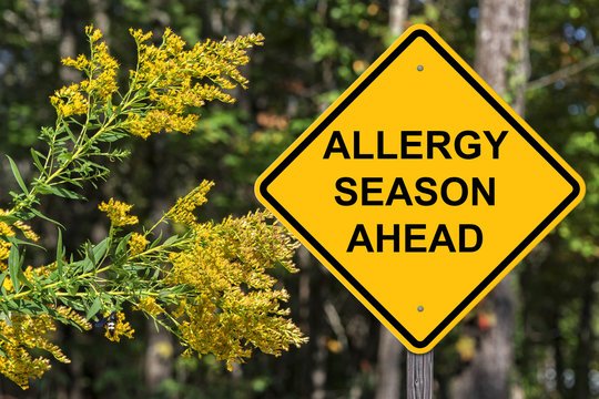 5 Tips for Allergy Season Wellness: Stay Healthy and Breathe Easy