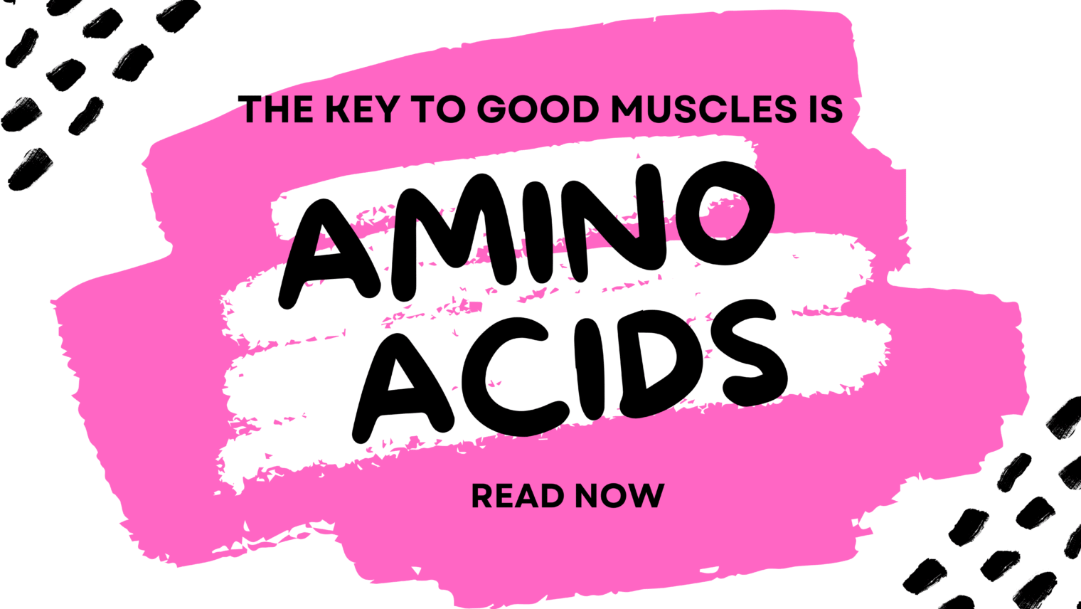 Amino Acid Supplements: Key to Building Muscle & Achieving A Toned Physique