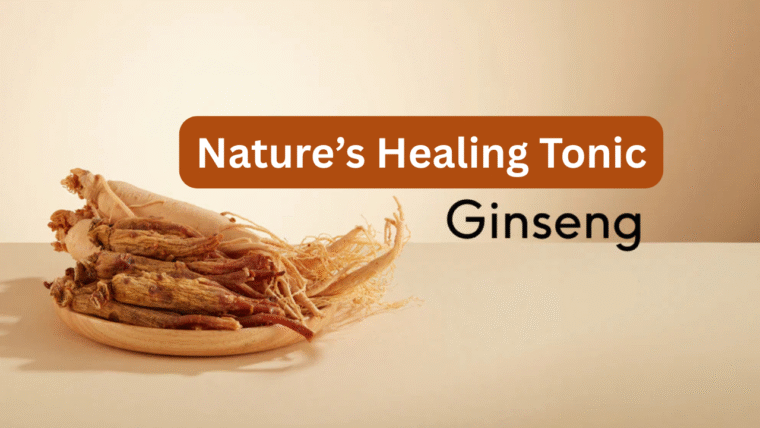 Korean Red Panax Ginseng: Nature’s Timeless Tonic
