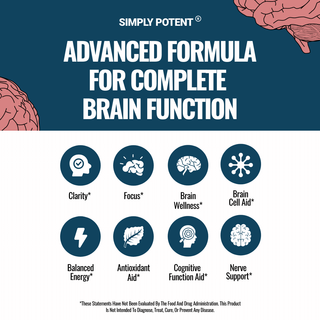 Pro Brain