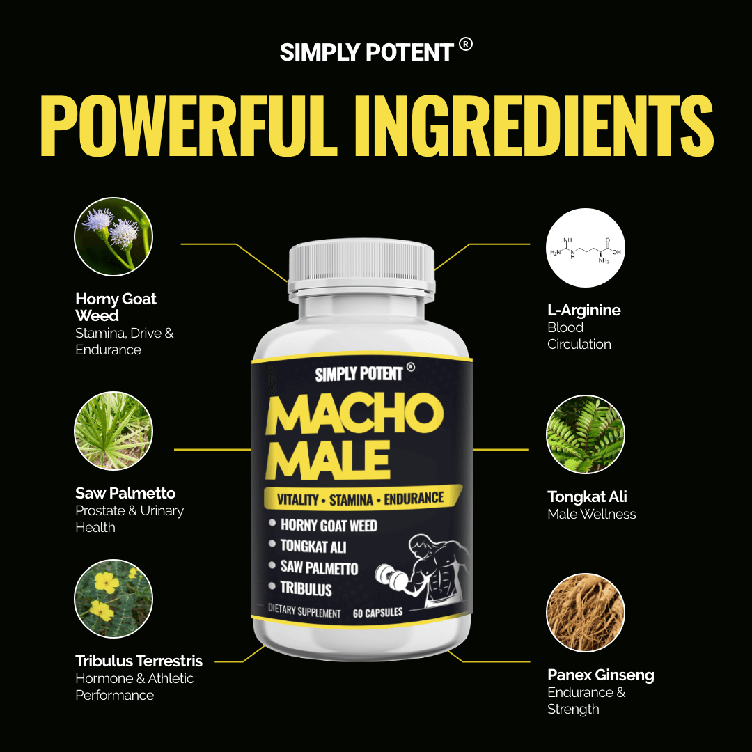 Macho Male